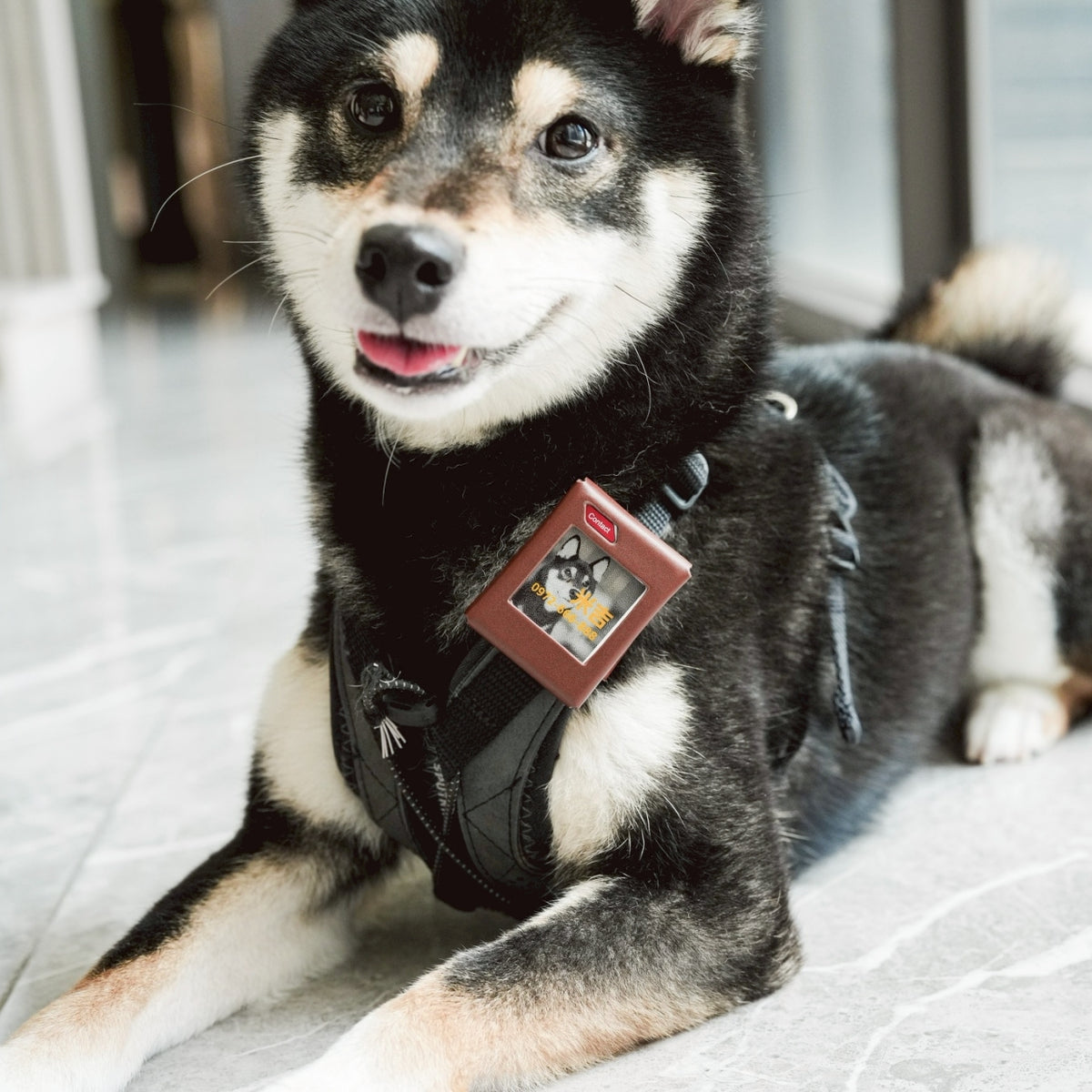 PhotoTag 永恆足｜真皮多功能保護套